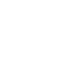 PDF Icon